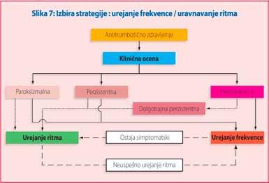 Medicina slovenski maloštevilnosti eno prvih kardioloških združenj znotraj ESC s prevedenimi oz. prirejenimi smernicami.