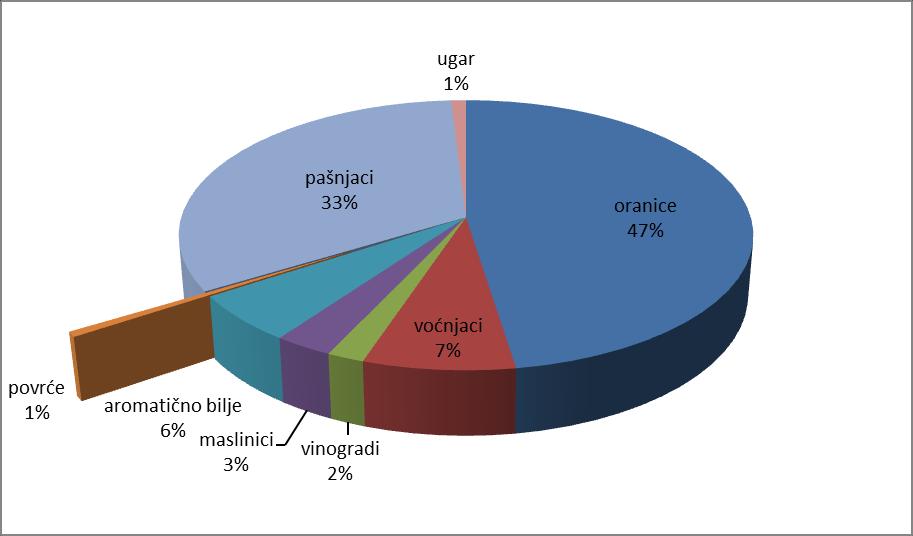 Grafikon 10. Zastupljenost povrća u ukupnoj ekološko-biljnoj proizvodnji u Hrvatskoj 2014.godine (izvor: Ministarstvo poljoprivrede) 2014.