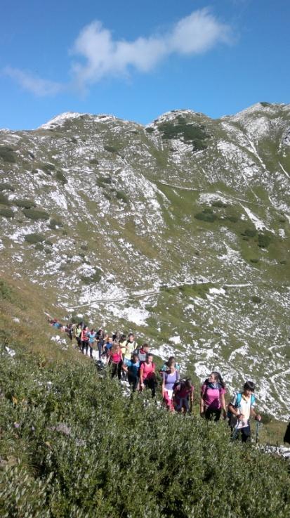 Julijskih Alpah. V Bohinju je veliko raznovrstnih poti od vaških do visokogorskih. Poleg mnogih markiranih planinskih poti je v Bohinju tudi 17 markiranih sprehajalnih poti.