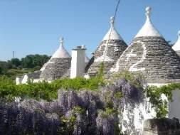 Puglia Highlights Five days visiting all the highlights of Puglia; experience the best of this fascnating region Highlights Alberobello trulli conical houses Matera