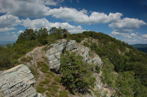 Po ľavej strane trasy za Studenou dolinou je národná prírodná rezervácia Hrdovická (obr.20) vyhlásená v roku 1982 (471 m n. m, rozloha 30 ha).