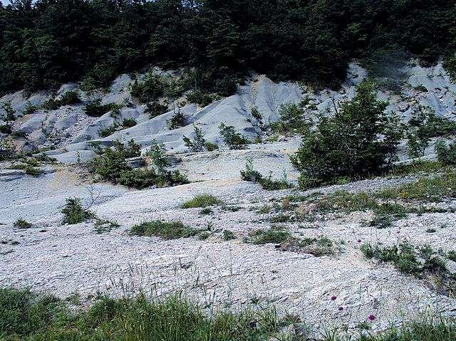 Fliš u Istri fliš - nataloženi sediment nastao od krupnozrnatih i sitnozrnatih stijena različita sastava i veličine zrna, u kojem se lapori ili glineni škriljevci