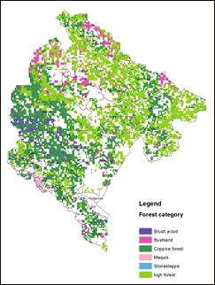 SHTOJCA B5.1 Grupet e të dhënave mbështetëse Figura 5.3 Kategoritë e pyjeve në Malin e Zi Figura 5.