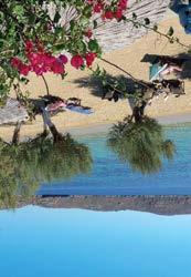 Sun beds on the beach are free for customers, with shade provided by the tamarisk trees that line the beach.