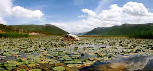 Liqeni i Prespës së Vogël, natyrë e qetë Nature