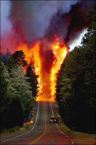 uvodno... o požarima U usporedbi sa svim štetnim čimbenicima na šumu požari su najopasniji. U priobalnom dijelu i otocoma oni su na prvom mjestu kao stalna opasnost za šume.