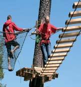 Activities in Latvia Wild Cat Adventure This adventure will challenge your personal boundaries in the Latvian treetops. The park consists of obstacle tracks constructed in growing trees.