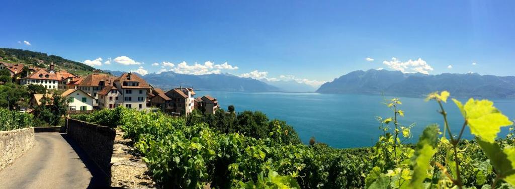 Your Journey From Lake Geneva to the high Alpine ridges: our journey takes you from the chic lakeside to its nearby terraced vineyards, then follows the Rhone River up to gorgeous flowering meadows,
