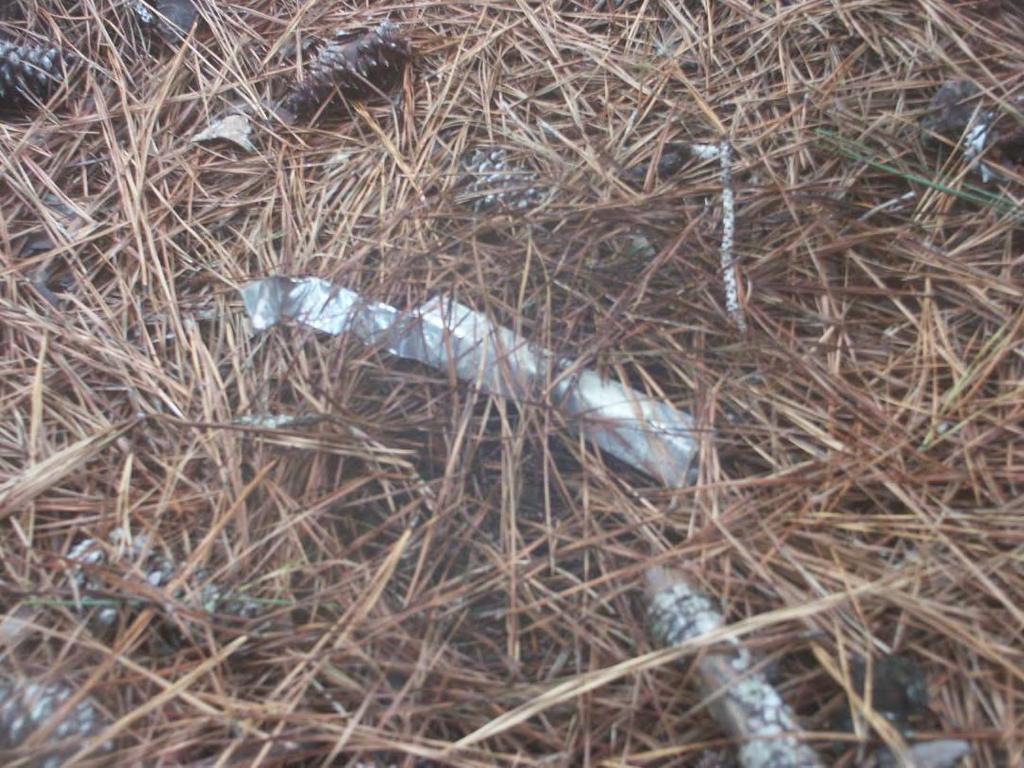 Figure 11. A Flare Wrapper Partially Covered by Pine Needles. 4.0 Flare Conclusions Section 2.0 describes typical flares used regularly or intermittently in PACAF-scheduled training airspace.