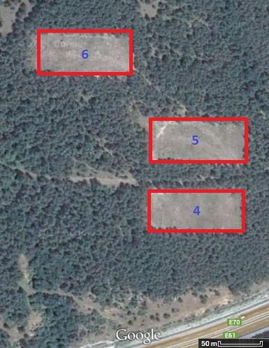 Slika 4: Druge tri ploskve (rastišče ) v velikosti 80 x 45 m, v krajevni enoti Čebulovica oddelek 50 (Google maps, 04) SHEMA PLOSKVE IN SADITEV SADIK Na 0, ha (0 50 m) veliki poseki smo s posebno