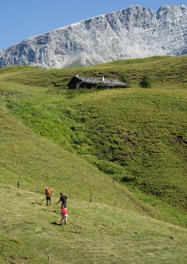 Ohraniti alpsko raznolikost Zahteve Zveze za kmetijstvo in varstvo narave v Alpah za oživitev hribovskega kmetijstva Predlogi