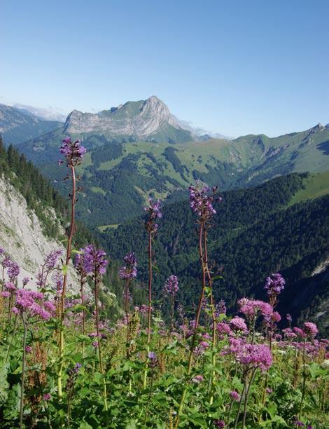 Alpska pokrajina v francoskem naravnem