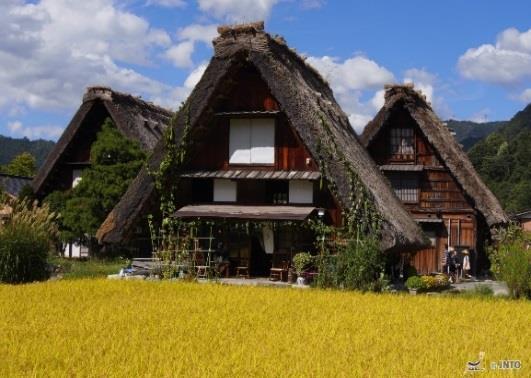 5h) Shirakawago Village is historical small village where unique traditional houses exist. They are built in the architectual style, 'Gassho-zukuri Style'.