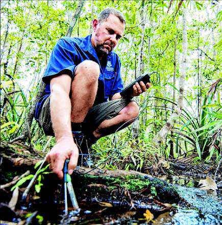 Picture: AAP Plants spring to life in acid SCIENTISTS in far north Queensland have discovered unique ecosystems thriving in water so acidic it would be classified as acid rain if it fell from the sky.