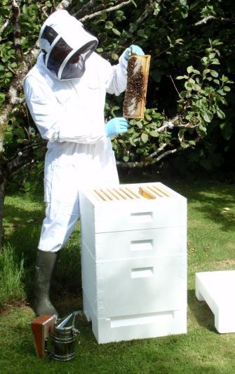 Bee Hive Supplies Bee Hive Supplies is based in Cornwall and is the choice for British National poly hives and beekeeping supplies.
