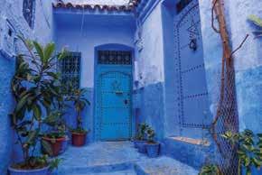 Overnight Marrakech (D) Day 2 Sunday Free day Today is a free day to explore Marrakech, perhaps you can explore the Medina or visit Majorelle Gardens.