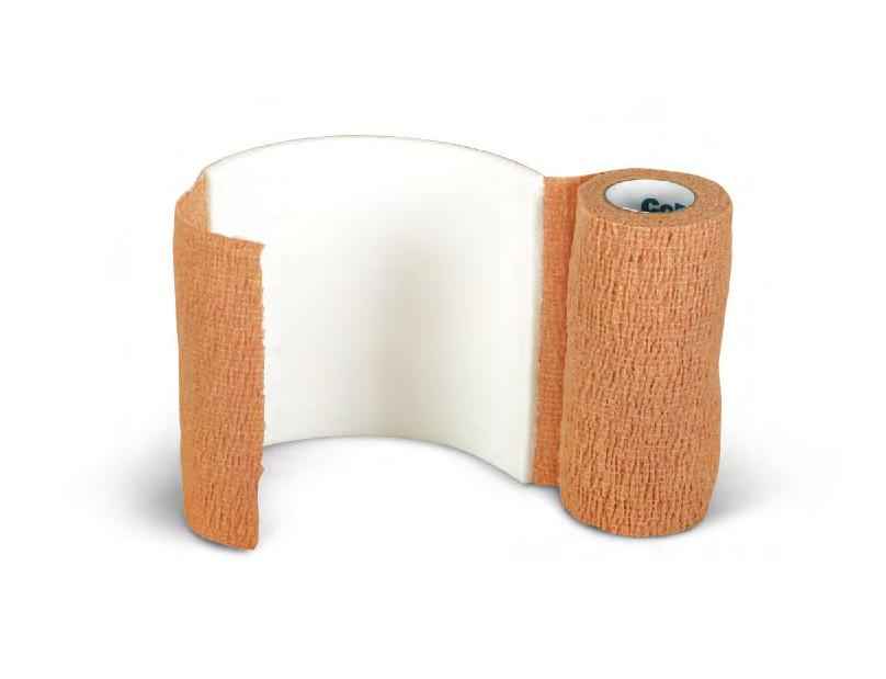Co-Flex AFD High absorption and retention of exudate Keeps wound site moist and clean All-in-one dressing/cohesive bandage Soft and comfortable CoFlex LF 2 base.