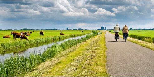 Cycling: 33 or 52 kms Day 7: Oude Wetering Amsterdam Cycle from Oude Wetering along the Amstel River and the canal and through the Amsterdamse Bos (forest area on the outskirts of Amsterdam) and the