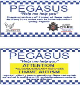 People have been successfully using Pegasus cards and they have helped to make them
