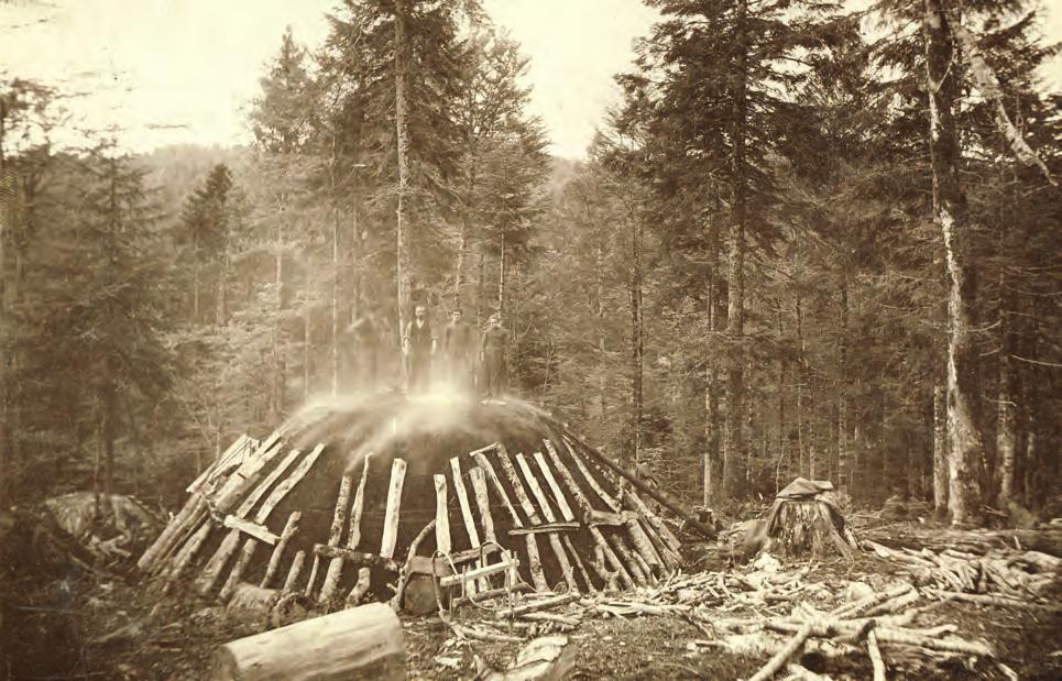 povijest šumarstva UGLJENARENJE Ugljenjarenje na području šumske uprave Fužine Piše: Vesna Pleše Foto: Arhiva Ugljenjarenje je postupak dobivanja ugljena paljenjem drveta koji se u prošlosti
