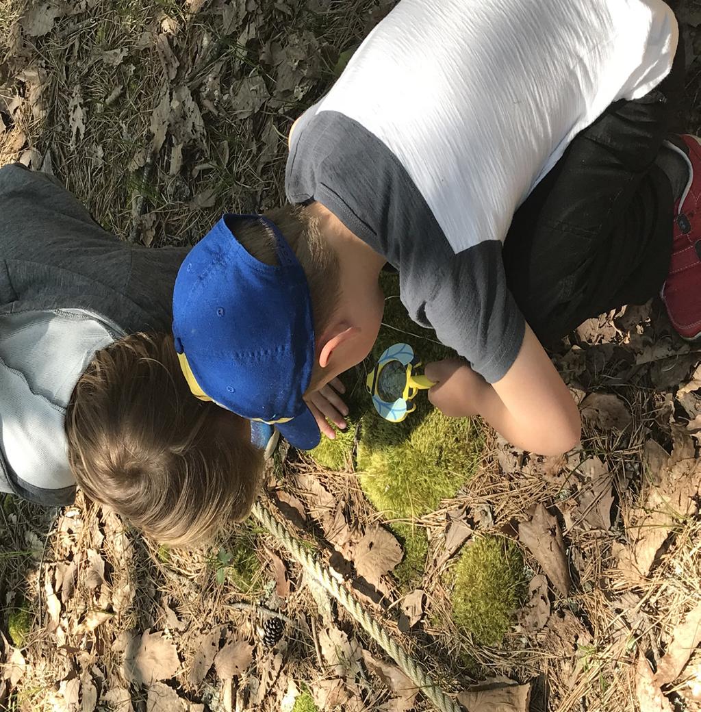 About Camp Walk in the woods, dig in the dirt, and explore the Refuge during our week-long nature camps.