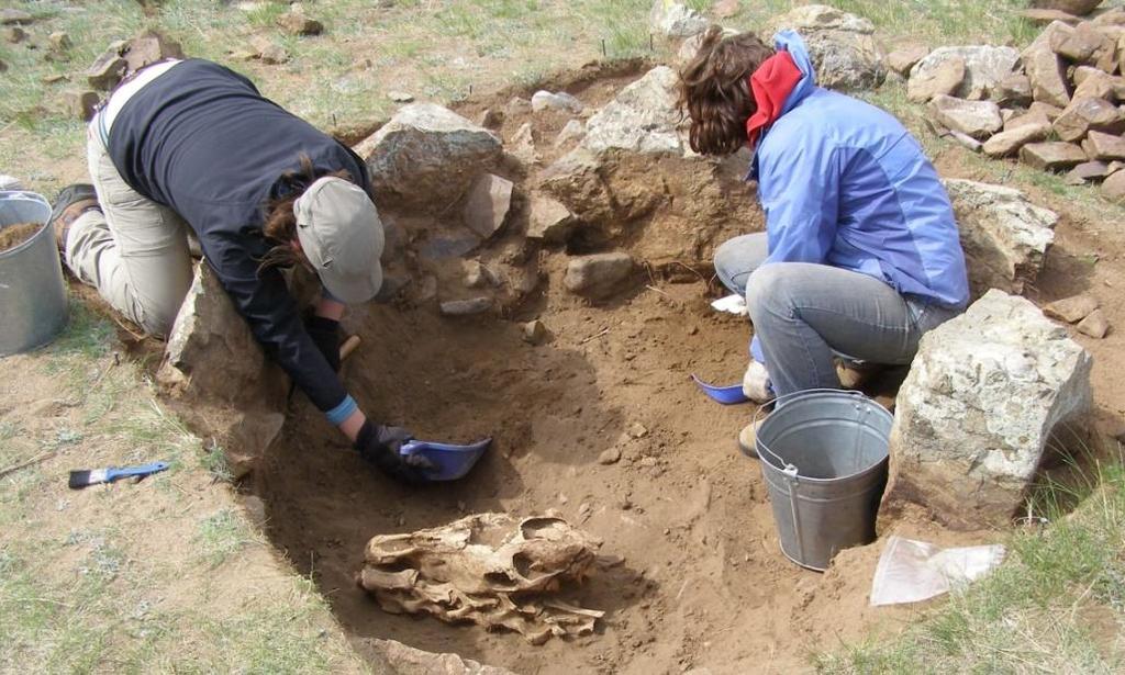 A small international team is now being assembled to conduct archaeological fieldwork in northern Mongolia from July 5 th 26 th in collaboration with the National Museum of Mongolia.