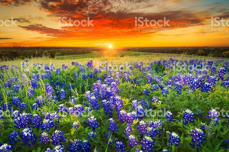 Sunset on Texas