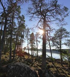 YOUR EXPERIENCE DAY 3 LIVING FROM THE EARTH The nature in Saimaa is stuffed with yumminess.