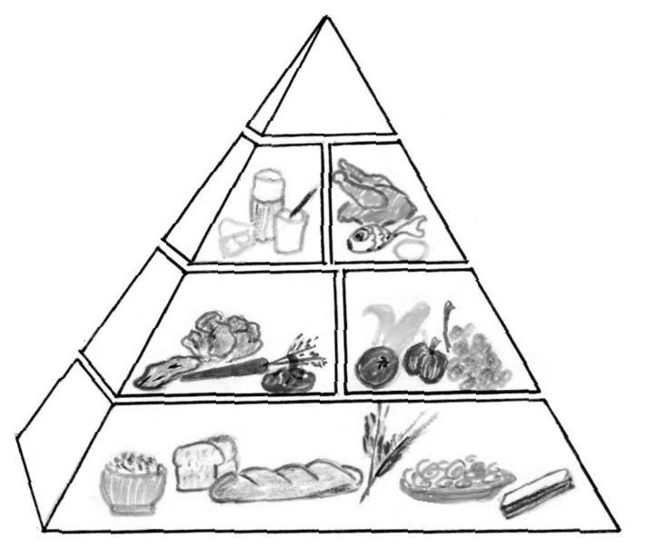Piramida ishrane vodič za pravilan dnevni izbor hrane Masti, ulja i slatkiši Koristiti retko i u malim količinama Mleko, jogurt, sir 2-3 porcije Povrće 3-5 porcija * * * * * * * * * * * * * * * * * *