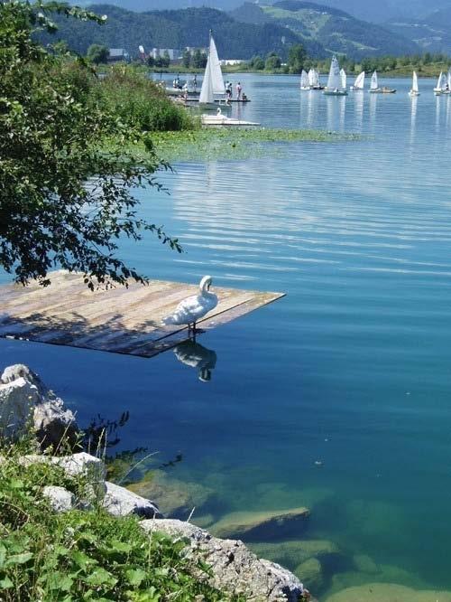 Slika 3 Velenjsko jezero nakon sanacije Sanacija zraka Osnovni