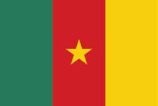 80% Vie Burkina Faso 80% 3A-Vie 75% SUNU Santé Cap : 500 90% Senegal KAJAS Microfinance Cap
