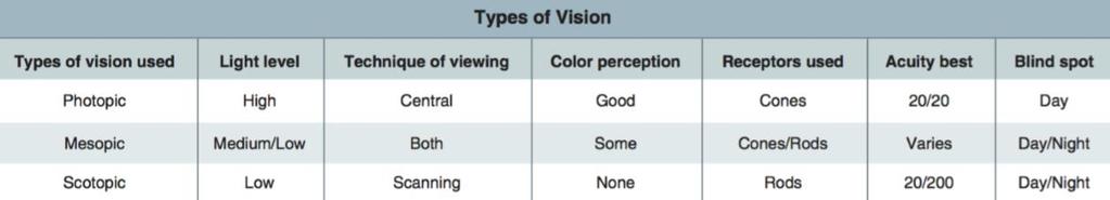 (1) Photopic vision provides the capability for seeing color and resolving fine detail (20/20 or better), but it functions only in good illumination.