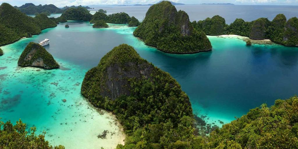 Photo by mann APS Raja Ampat, Indonesia SEAMLESS SUPPORT - BEST LOCAL