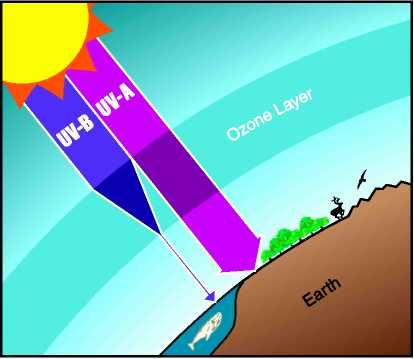 PITANJE 3: Zašto brinemo o atmosferskom ozonu? Ozon, u stratosferi absorbira nešto, biološki štetnih, sunčevih štetnih ultarljubičastih zraka.