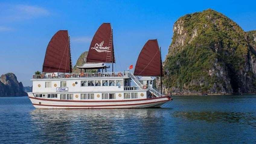 15: Enjoy lunch with sampling regional fresh seafood while cruising on exquisite water, passing Incense Burner island, Fighting Cock islet, Stone Dog Lavender Cruise will bring you to explore Ha Long