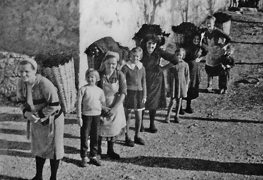 Slika 1. Selo Marušići, žene nose gnoj u košarama da pognoje zemlju. U vlasništvu obitelji Barbarić. cijeli niz najvažnijih poslova u obitelji.