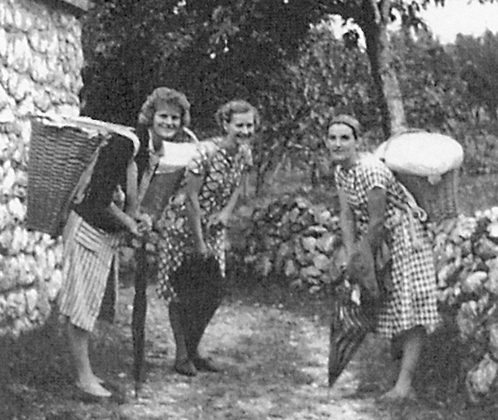 Slika 4. Miroševe nevesti nose trešnje na prodaju Danica Badurina, Zdenka Saftić i Elvira Miroš. U vlasništvu obitelji Barbarić. o drugima ne samo među ukućanima nego i među susjedima.