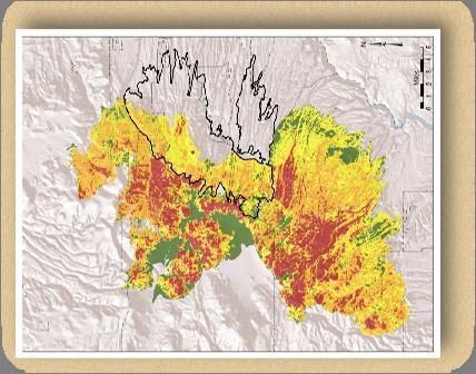 Burn Severity (BAER Mapping) Las Conchas (2011) High Severity: 21% (32,992 ac) Cerro Grande (2000) High Severity: 34% (16,201 ac) Las Conchas Fire Moderate Severity: 34%
