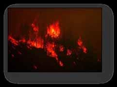 Personal Observations Unprecedented extreme fire behavior (>300 flame lengths) and rates of