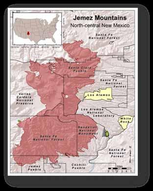 Incident Background Information Location: Jemez Mountains, north central NM Land ownership: Federal Property (USFS, DOI, DOE) Native American Tribal Lands Urban Areas (Los Alamos & White Rock)