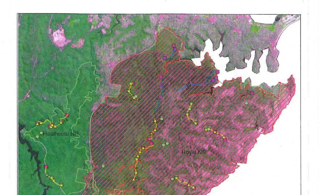 Post Fire Vertebrate Fauna Survey extent of 1994 fire More than 90% of the area of Royal NP and Garawarra SCA was