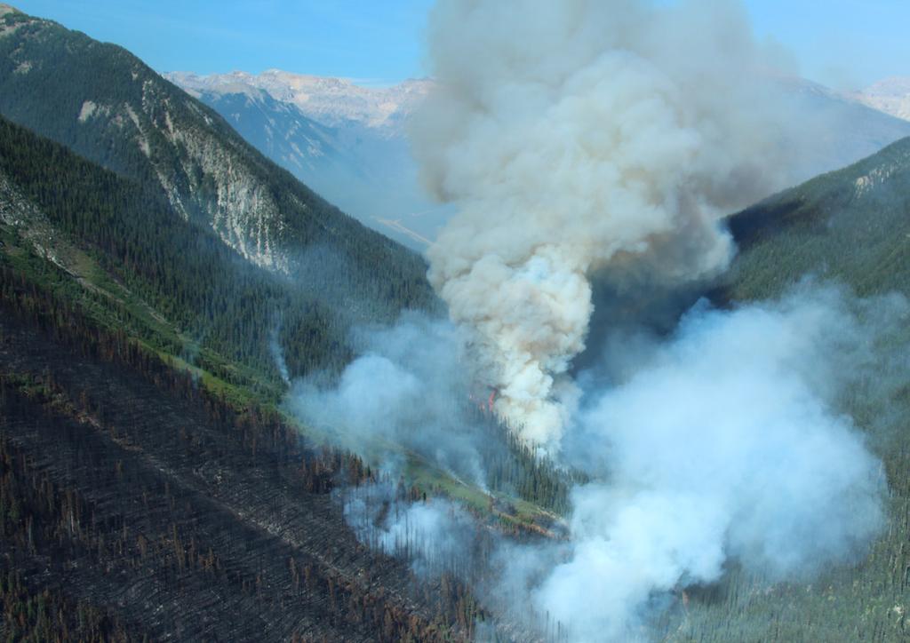 Wildfires Fire continues to be important to the ecological health of Kootenay s forest ecosystems.