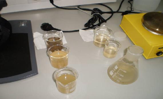 Slika 12: Čaše, v katerih so vzorci vode za vtok, iztok, prefiltrirana voda za vtok ter prefiltrirana voda za iztok (Vir: Stojan Žulič, 17.10.