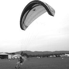 10 ask them to do so for you. Every glider should be test flown before it is sold.