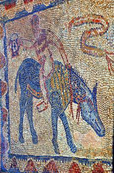 This mosaic is a well known joke as it mocks the chariot jumpers who took part in