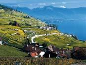 walks in the vineyards of Lavaux or promenades along the lakeshore. Higher altitude walks at Rochers-de-Naye have great views. Full details of all excursions www.