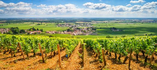 11 October Lyon / Macon This morning the vessel arrives in the town of Mâcon, located in southern Burgundy. This wine-producing region produces some of the most expensive wines in the world.
