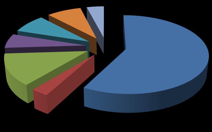 8% 6% 13% 8% 4% 58% Urea KAN AN OSTRN AP NPK 3% AS Slika 7.
