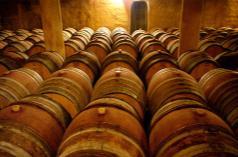 wines classified among the best, in the village of Aniane with the