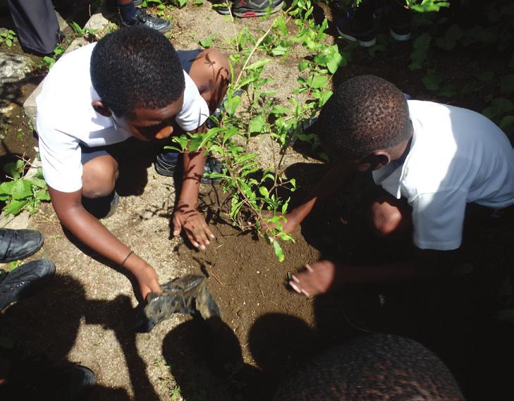 CLIMATE CHANGE & DISASTER MANAGEMENT EDUCATION An exciting environmental education and cultural exchange project took place at Richmond Vale Academy on the north leeward coast of St Vincent over
